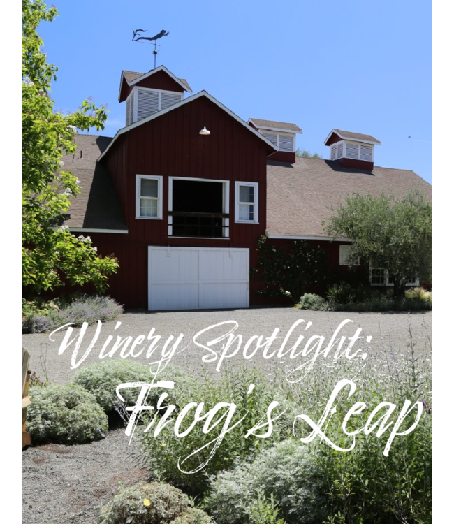 frog leap winery