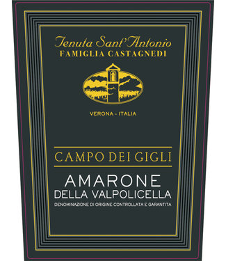 Tenuta Sant'Antonio Tenuta Sant'Antonio Amarone della Valpolicella Campo dei Gigli (2016)