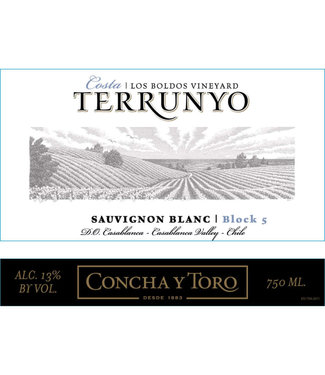 Concha Y Toro Concha Y Toro Terrunyo Sauvignon Blanc (2016)