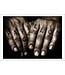 Orin Swift Cellars 'Papillon' Cabernet Blend (2021)