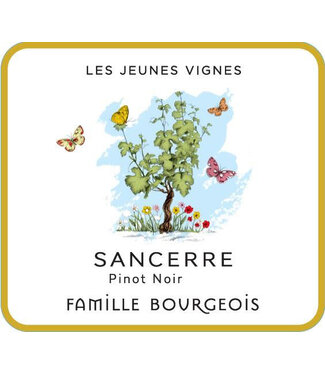 Famille Bourgeois Famille Bourgeois Les Jeunes Vignes Sancerre Rosé (2022)