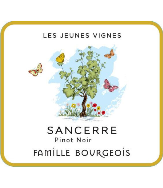 Famille Bourgeois Les Jeunes Vignes Sancerre Rosé (2022)