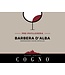Elvio Cogno Pre-Phylloxera Barbera d'Alba 2020