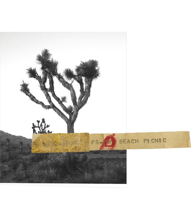 Orin Swift Cellars 8 Years in the Desert 2022| 750ml