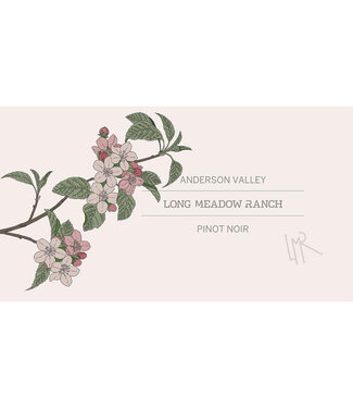 Long Meadow Ranch Long Meadow Ranch Pinot Noir Anderson Valley (2019)