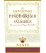 Santi Sortesele Pinot Grigio Valdadige 2022 | 750ml