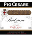 Pio Cesare Barbaresco 2020 | 750ml