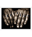 Orin Swift Papillon 2022 | 750ml