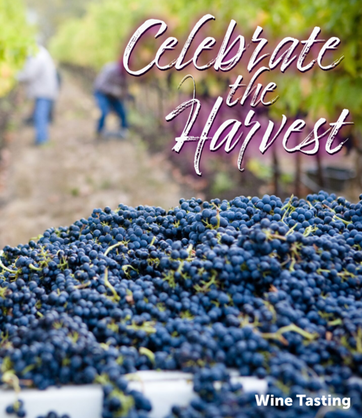 Vintage Wine Cellars Tasting - Celebrate the Harvest
