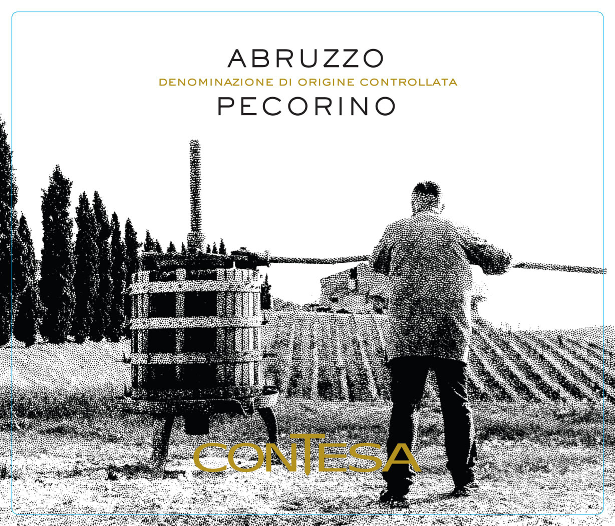 Contesa Pecorino DOC Blanco (2024) - Vintage Wine Cellars