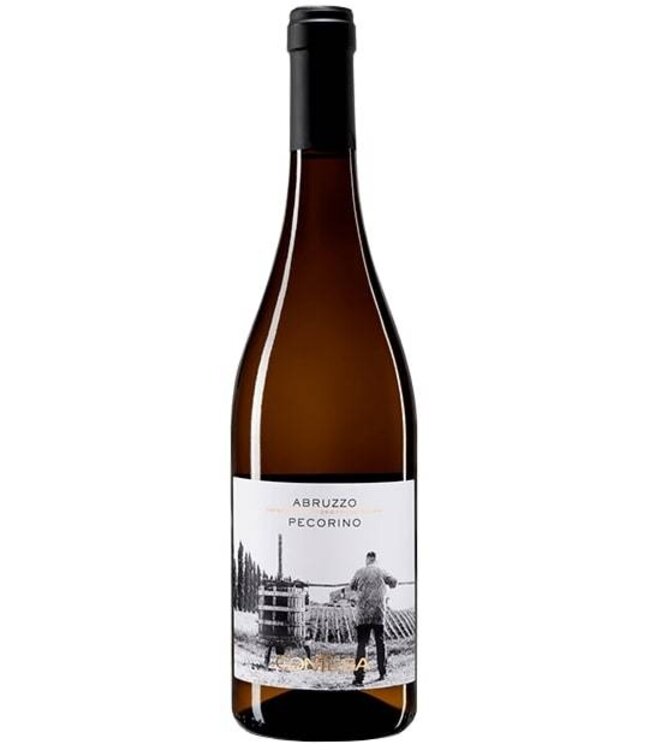 Contesa Pecorino DOC Blanco 2024 | 750ml