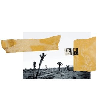 Orin Swift Cellars Orin Swift 8 Years in the Desert (2023)