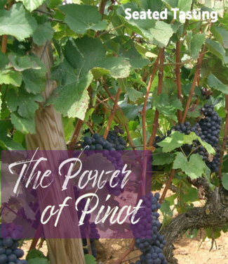 Vintage Wine Cellars Seated - July 24 - The Power of Pinot