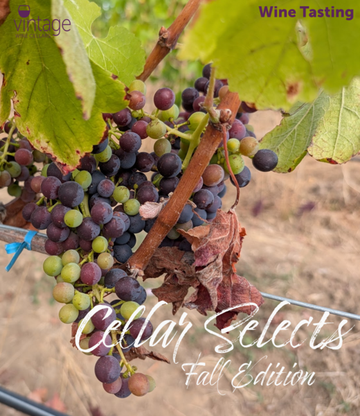 Vintage Wine Cellars Tasting - Sep 11 - Cellar Selects Fall Edition