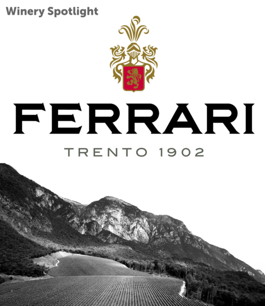 Vintage Wine Cellars Spotlight - Oct 7 - Ferrari Trento
