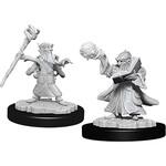 Dungeons & Dragons Nolzur`s Male Gnome Wizard