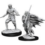 Pathfinder Deep Cuts Unpainted Miniatures: W10 Male Elf Rogue