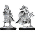 Dungeons & Dragons Nolzur`s Female Human Sorcerer