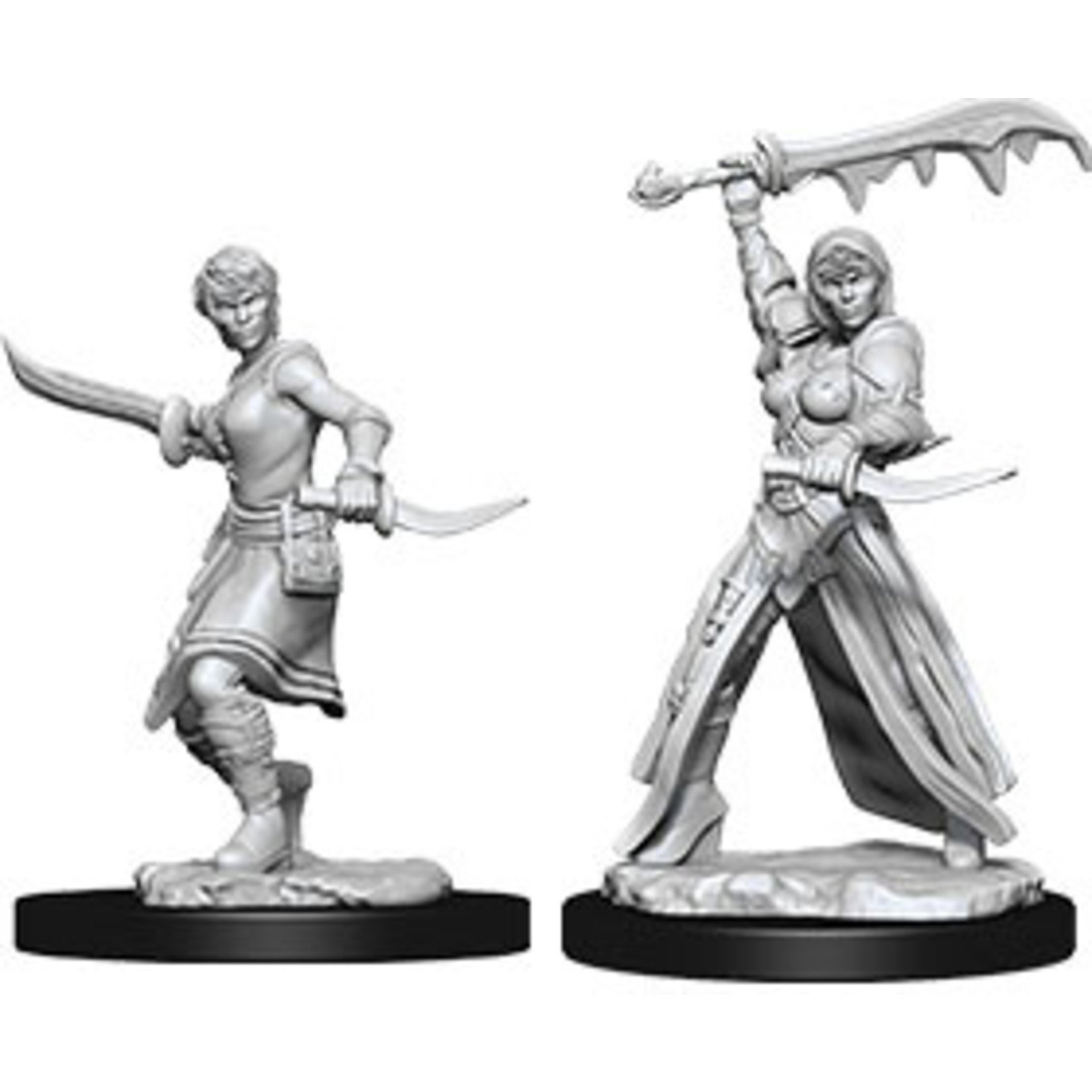 Dungeons & Dragons Nolzur`s Marvelous Female Human Rogue