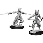 Dungeons & Dragons Nolzur`s Female Tabaxi Rogue