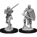 Dungeons & Dragons Nolzur`s Female Human Fighter