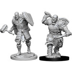 Dungeons & Dragons Nolzur`s Marvelous: Male Goliath Fighter