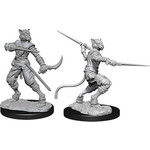 Dungeons & Dragons Nolzur`s W7 Tabaxi Male Rogue