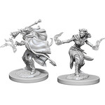 Dungeons & Dragons Nolzur`s Marvelous: Female Tiefling Warlock