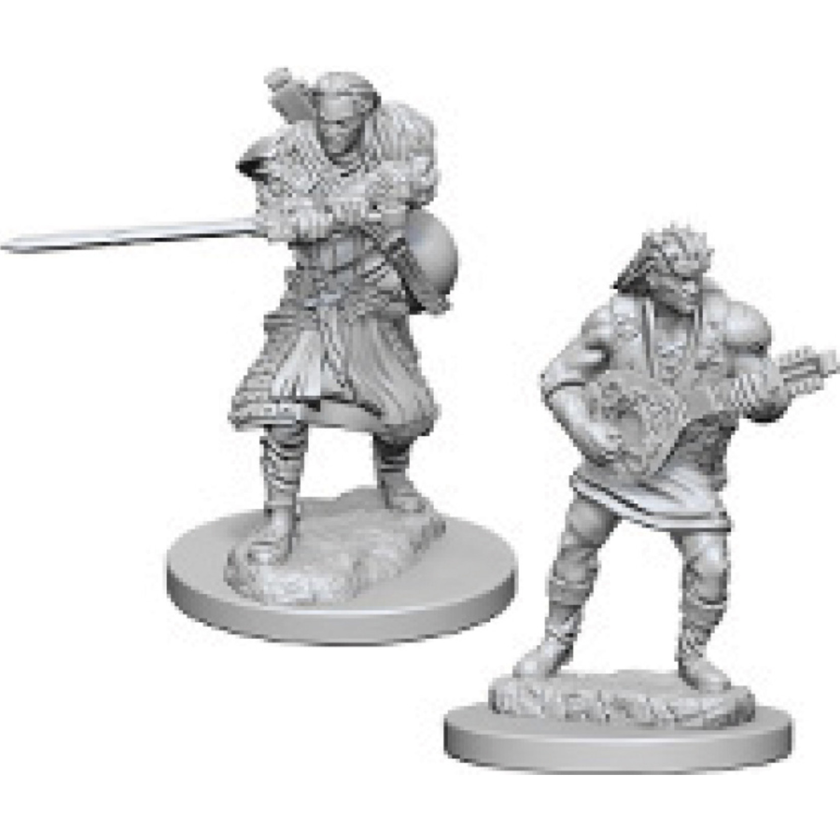 Dungeons & Dragons Nolzur`s Marvelous: Human Male Bard