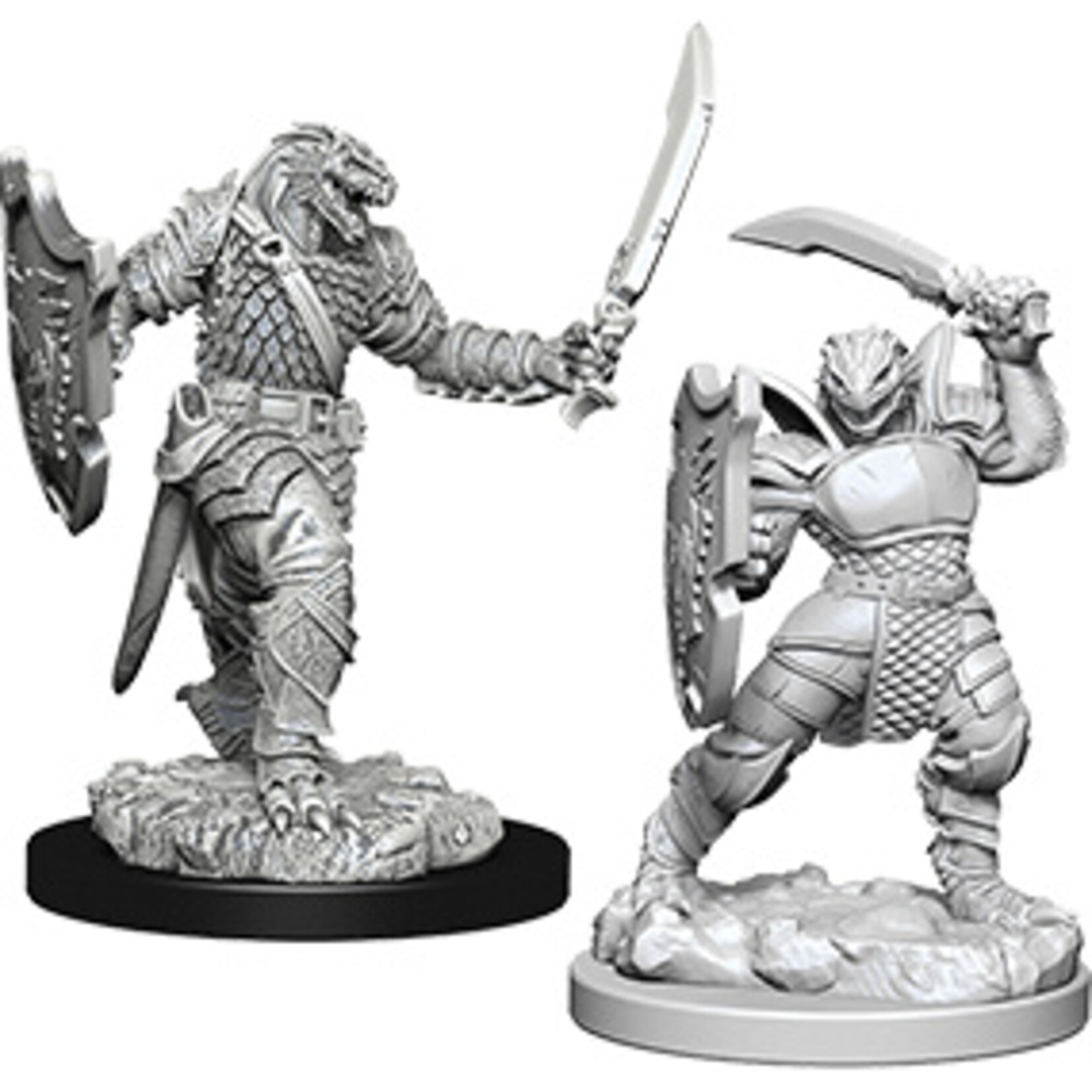 Dungeons & Dragons Nolzur`s Marvelous W5: Dragonborn Female Paladin