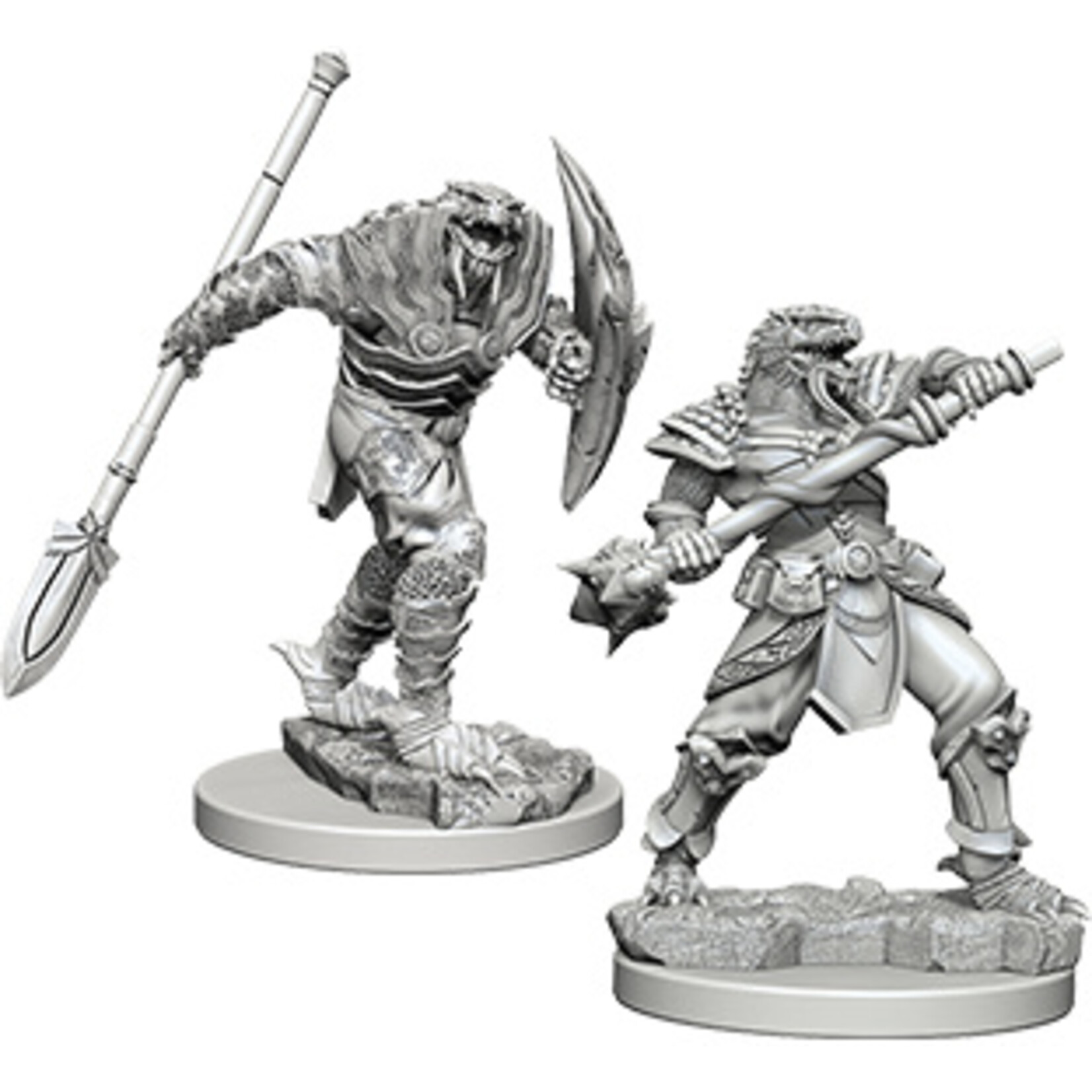 Dungeons & Dragons Nolzur`s Marvelous W5: Dragonborn Male Fighter with Spear