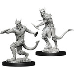 Dungeons & Dragons Nolzur`s W5 Tiefling Male Rogue