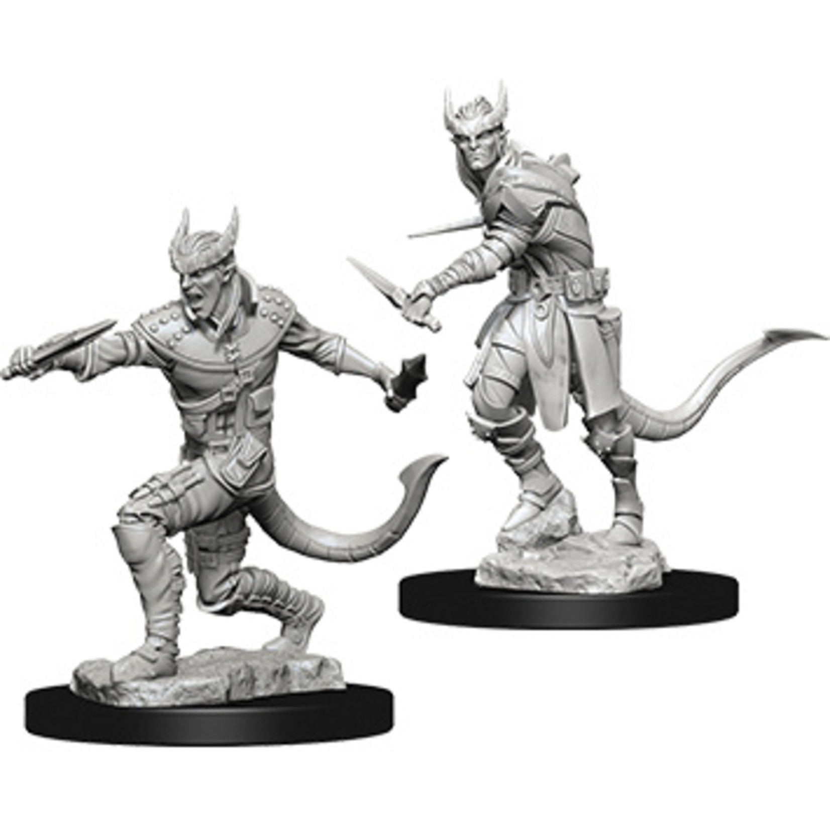 Dungeons & Dragons Nolzur`s W5 Tiefling Male Rogue