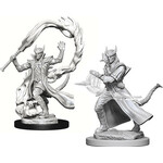 Dungeons & Dragons Nolzur`s Marvelous: Tiefling Male Sorcerer