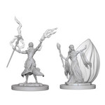 Dungeons & Dragons Nolzur`s Marvelous: W3 Elf Female Wizard
