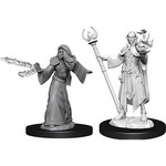 Dungeons & Dragons Nolzur`s W9: Male Elf Wizard