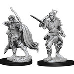 Dungeons & Dragons Nolzur`s W7 Elf Male Rogue