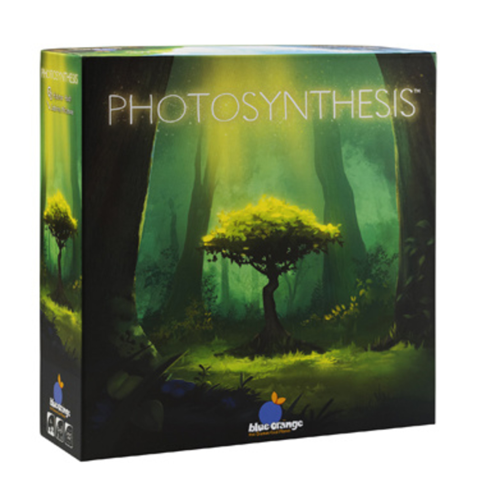 Photosynthesis