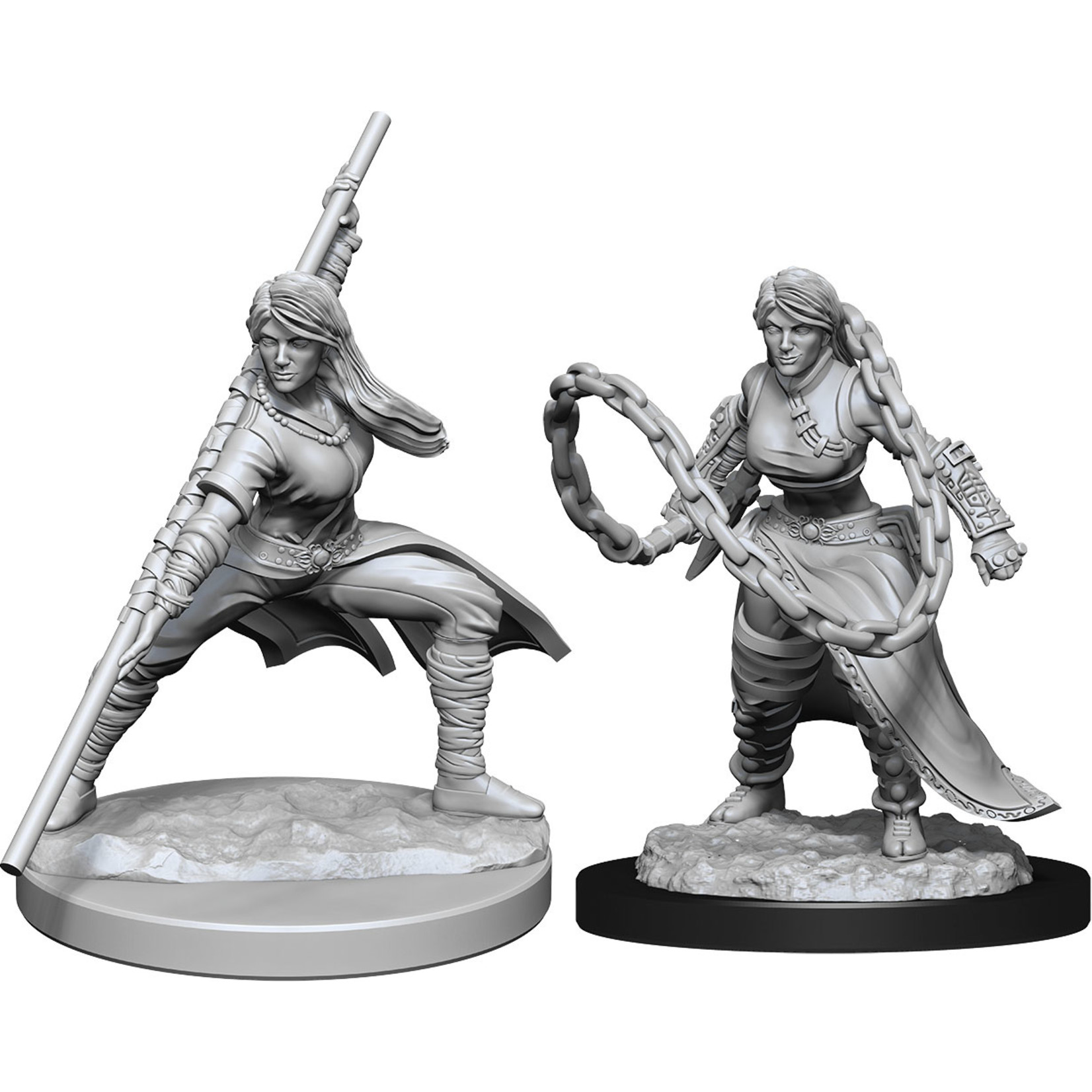 Dungeons & Dragons Nolzur`s Marvelous Unpainted Miniatures: W14 Human Monk Female