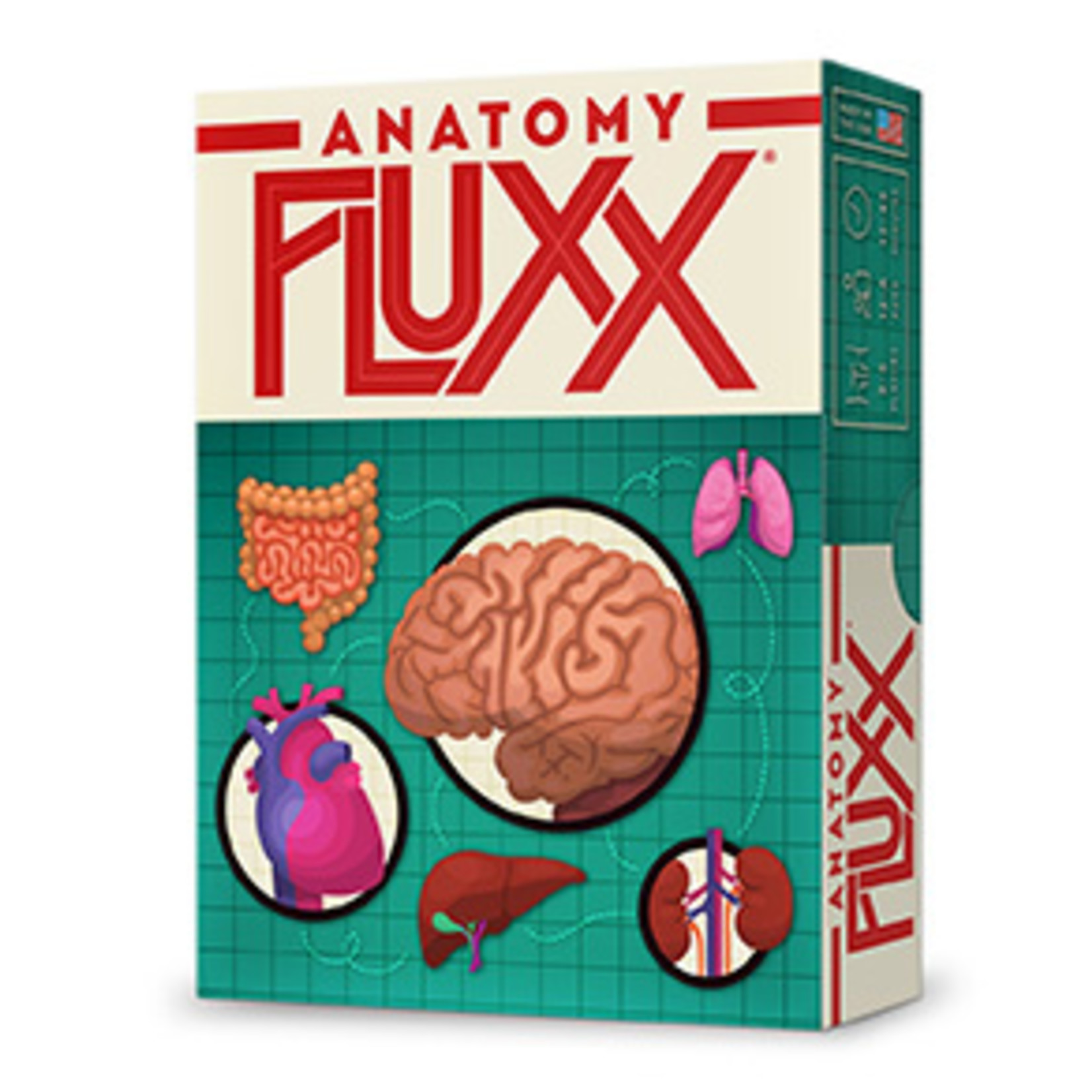 Loony Labs Anatomy Fluxx