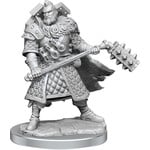 Dungeons & Dragons Frameworks: W01 Human Fighter Male