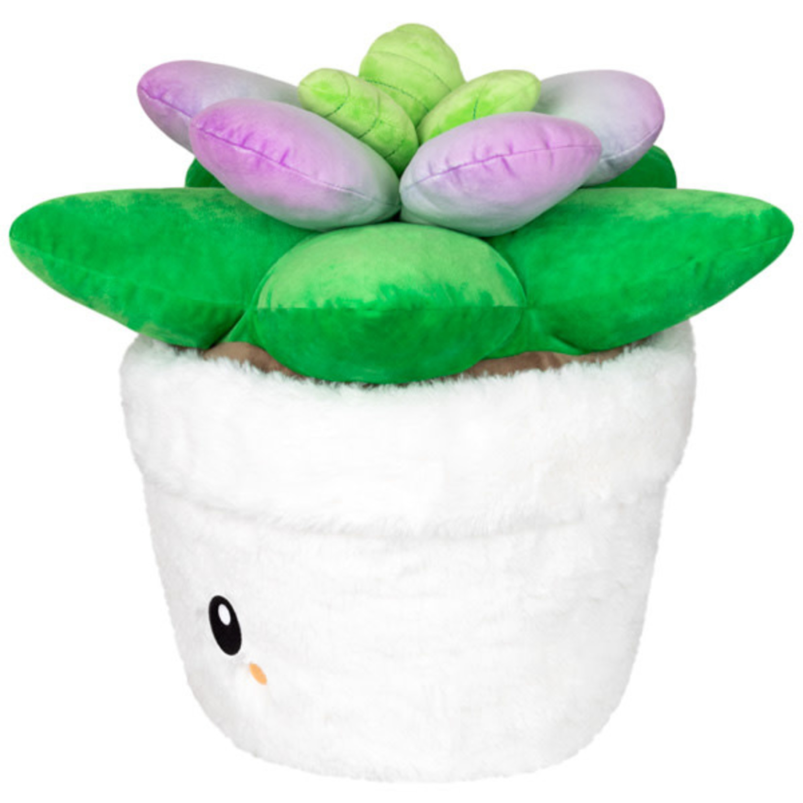 Squishable Succulent