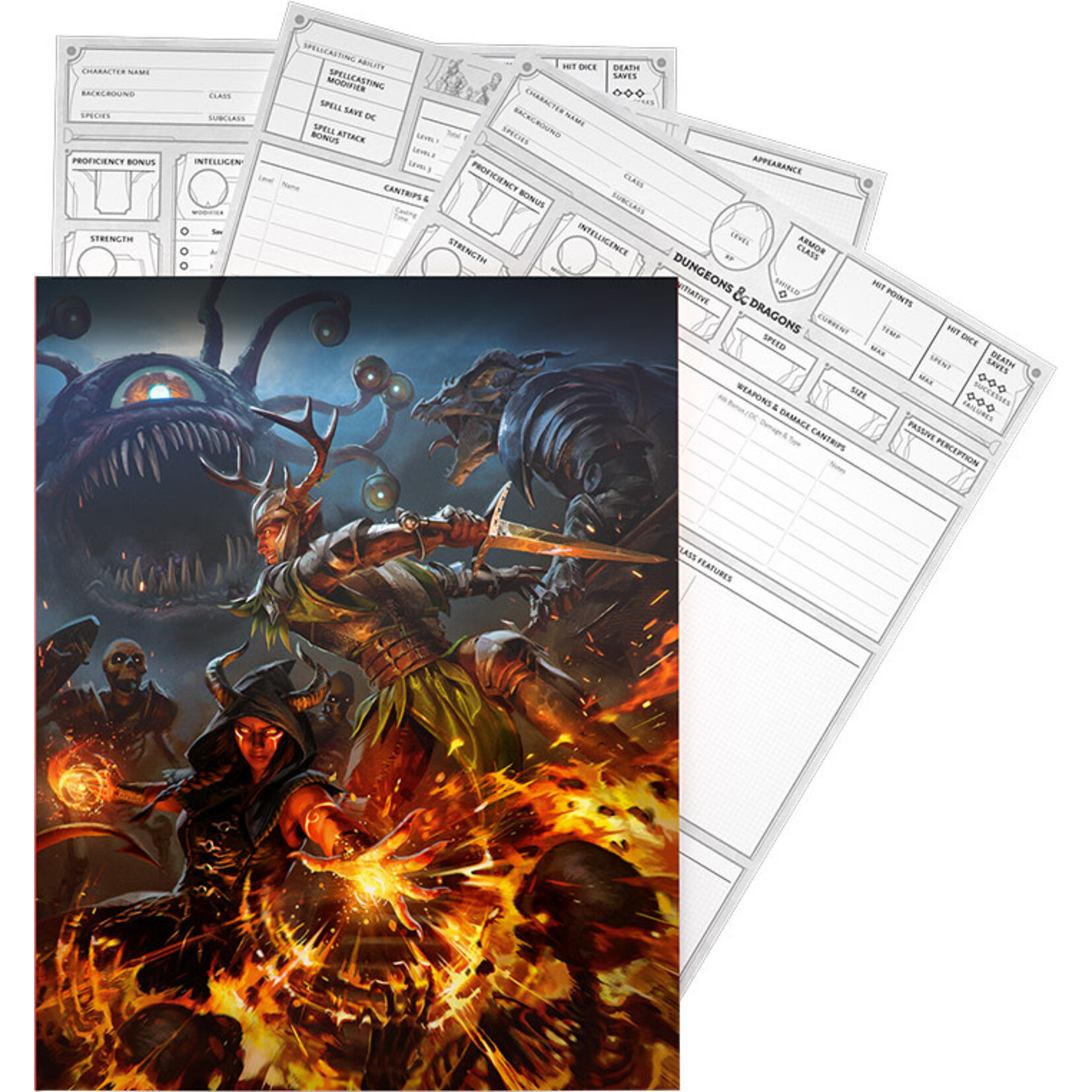 Dungeons & Dragons RPG: Character Sheets (2024)