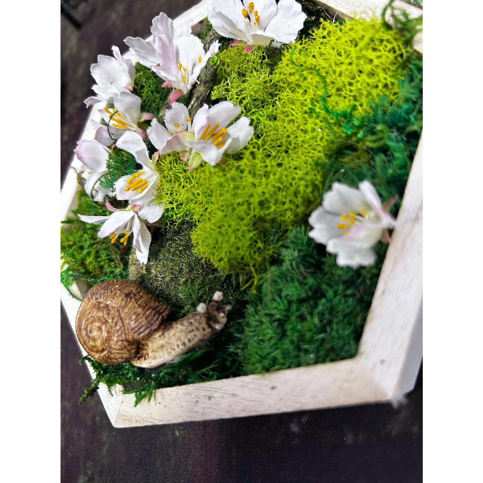 Xanadu Botanicals & Design LLC (consignment sales) Moss Art