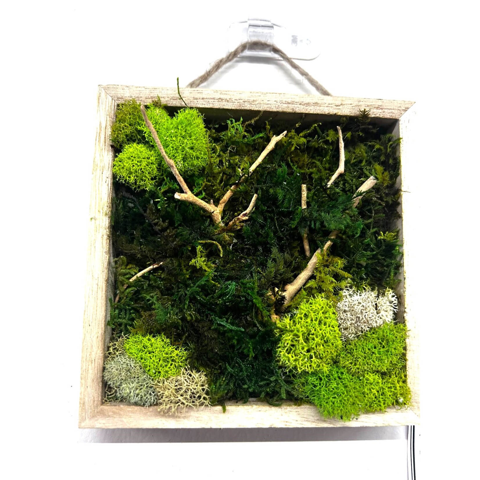 Xanadu Botanicals & Design LLC (consignment sales) Moss Art