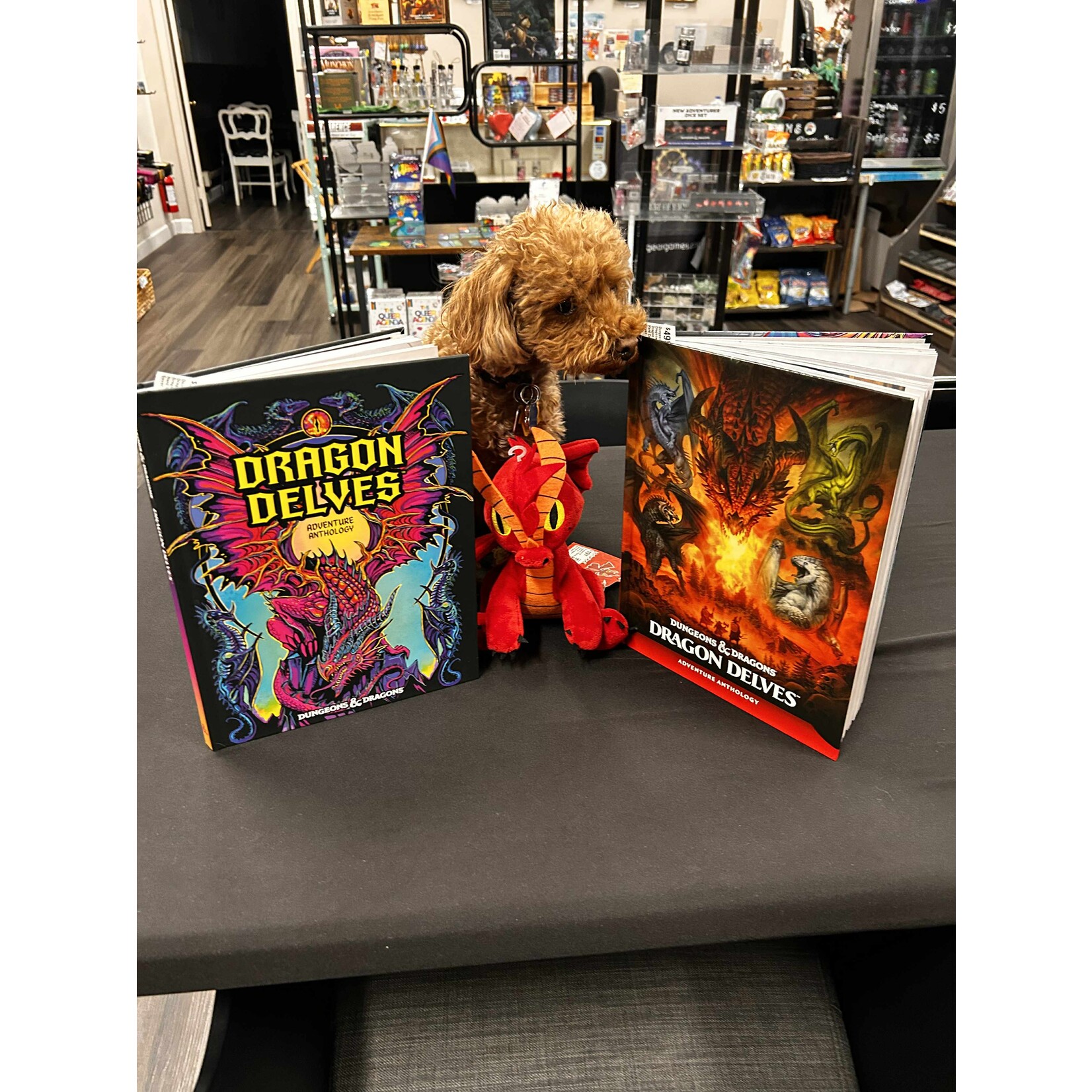 Dungeons & Dragons RPG: Dragon Delves Hard Cover