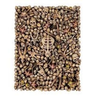 Citadel Citadel Skulls