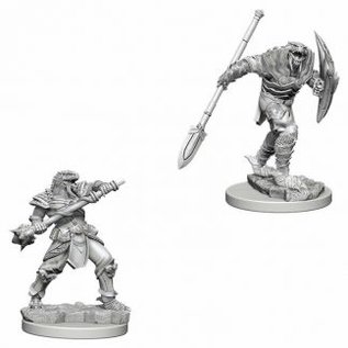 Wizk!ds D&D: Nolzur's Marvelous Miniatures - Tiefling Rogue (Male)