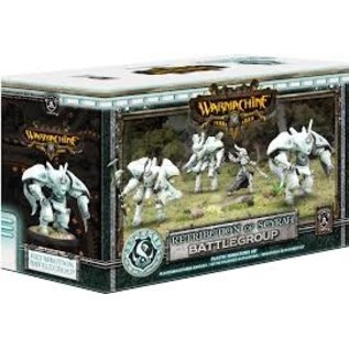 Privateer Press Warmachine: Retribution of Scyrah Battlegroup (Plastic)