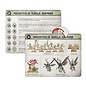 Games Workshop Warhammer AoS: Warcry Card Pack - Maggotkin of Nurgle Daemons